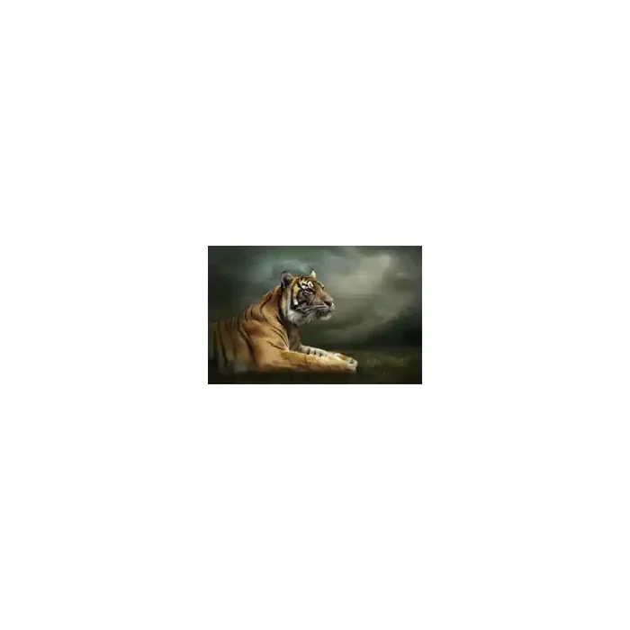 Fotomural Tigre FAN037, 360cm. x 240cm., Vinilo Autoadhesivo Mate, Todo Color, Original, 0x0x0x0 cm.