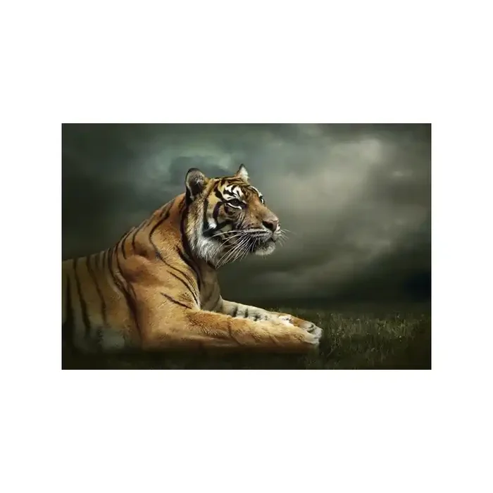 Fotomural Tigre FAN037