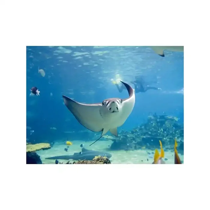 Fotomural UNDER WATER VIEW FT-0144