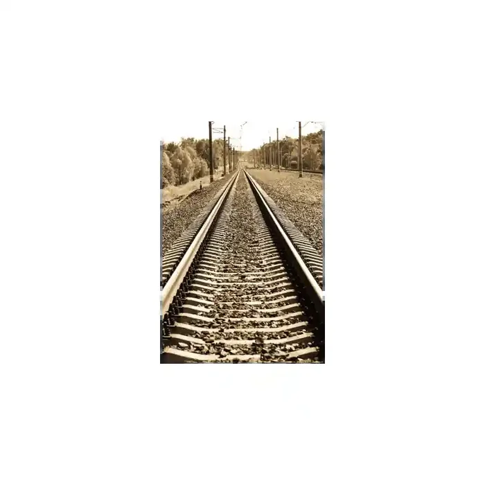 Fotomural Va del Tren FPR013, 100cm. x 150cm., Vinilo Autoadhesivo Mate, Todo Color, Original, 0x0x0x0 cm.