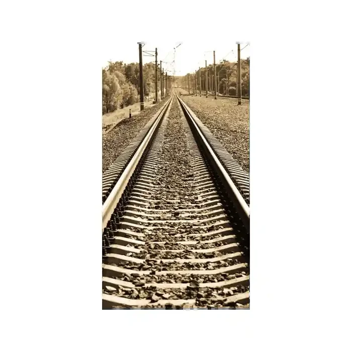Fotomural Va del Tren FPR013, 100cm. x 180cm., Vinilo Autoadhesivo Mate, Todo Color, Original, 8.23x0x8.23×0 cm.