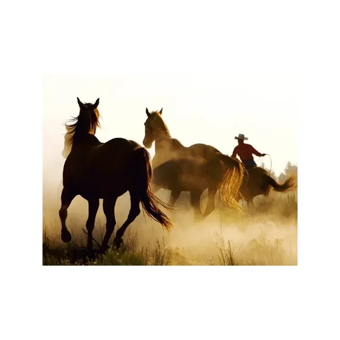 Fotomural WILD WEST FT-0142