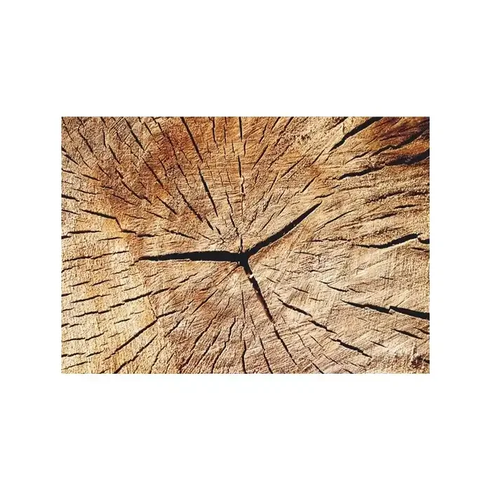 Fotomural WOOD FT-0379