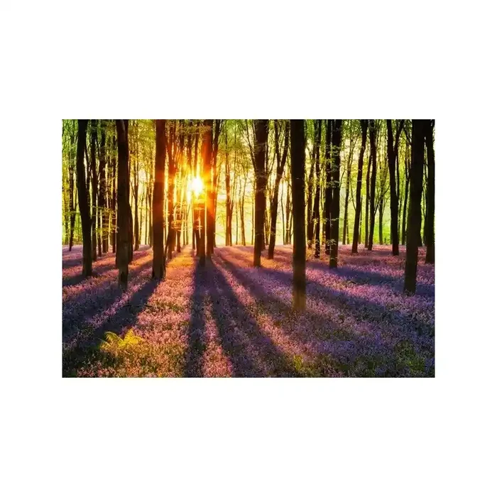 Fotomural WOODLAND AT DAWN