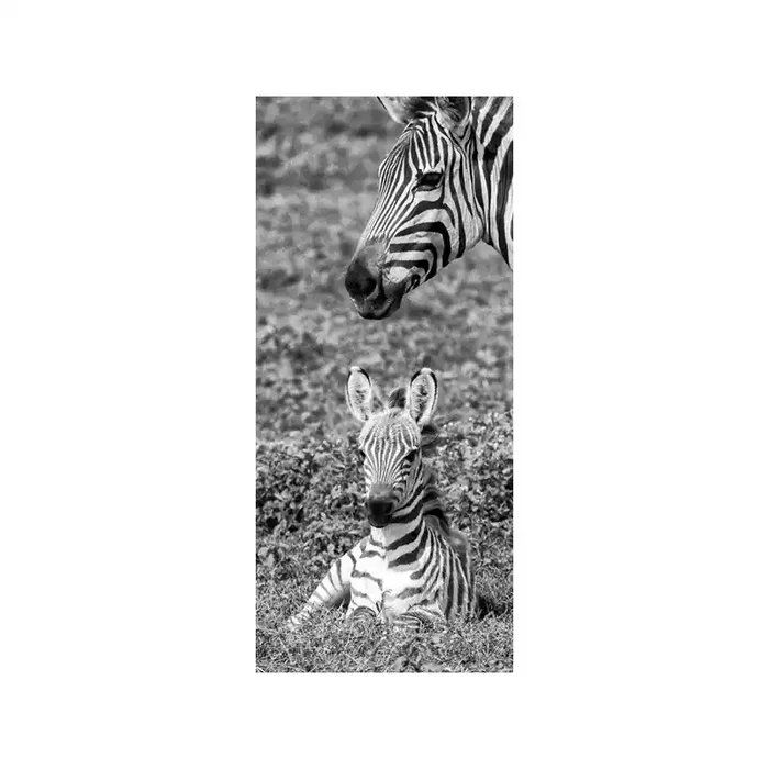 Fotomural Zebra Mom & Kids FTV1502