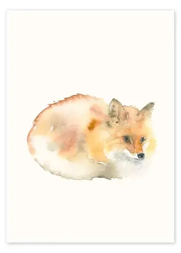 Fox de Catherina Türk