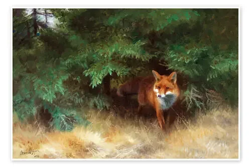 Fox, escondiéndose bajo una picea de Bruno Andreas Liljefors Master Collection