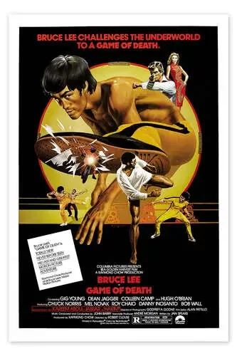 Game of Death (inglés) de Vintage Entertainment Collection