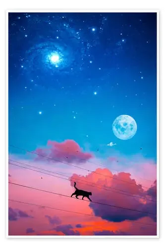 Gato en una línea eléctrica contra el cielo nocturno de Gen Z