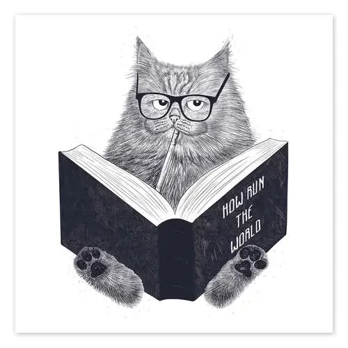 Gato leyendo de Valeriya Korenkova