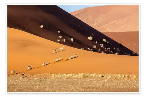 Gazelle, Sossusvlei,Namib Desert,Africa de Roberto Sysa Moiola