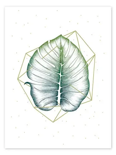 Geometría y naturaleza II de Barlena