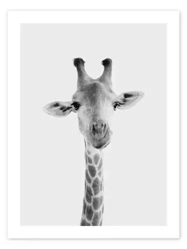 Giraffa II de Animal Kids Collection Editors Choice