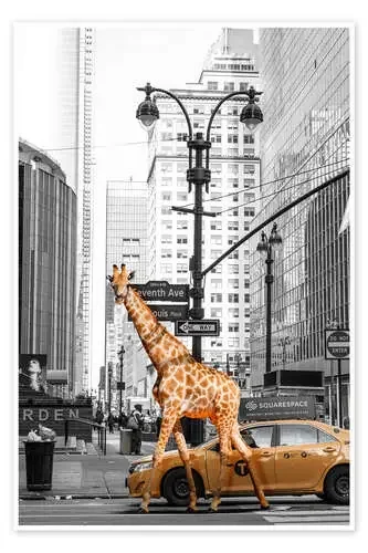Giraffe Morning Walk de Fadil Roze 1x