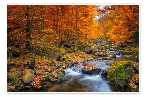 Golden autumn in nationalpark harz de Dieter Meyrl