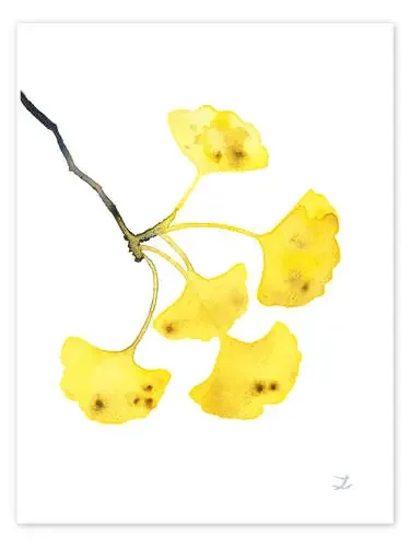 Golden Ginkgo de Zaira Dzhaubaeva