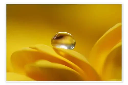 Golden rain de Dirk Driesen