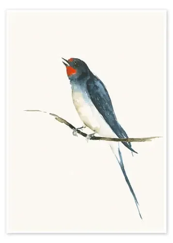 Golondrina de Catherina Türk