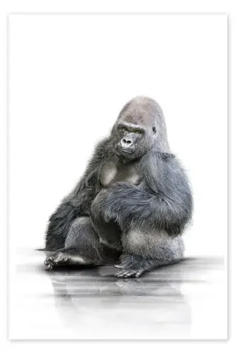 Gorilla de Werner Dreblow