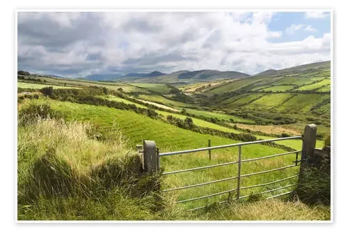 Green meadows near Dingle (Kerry, Ireland) de Christian Müringer
