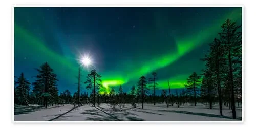 Green nights de Denis Feiner