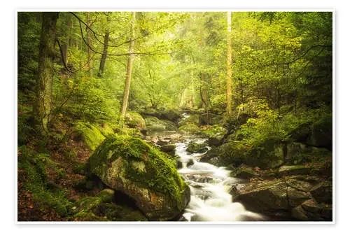 Green Valley de Oliver Henze