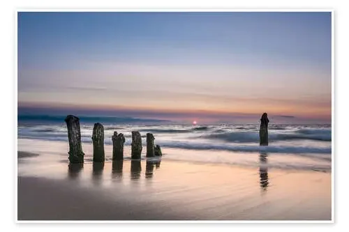 Groyne on the Baltic Sea coast in sunset light de Rico Ködder