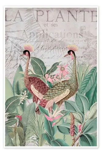 Grullas en el trópico, rosa de Andrea Haase