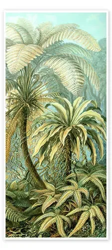 Helechos, Filicinae (Obras de arte de la naturaleza, 1899) de Ernst Haeckel Master Collection
