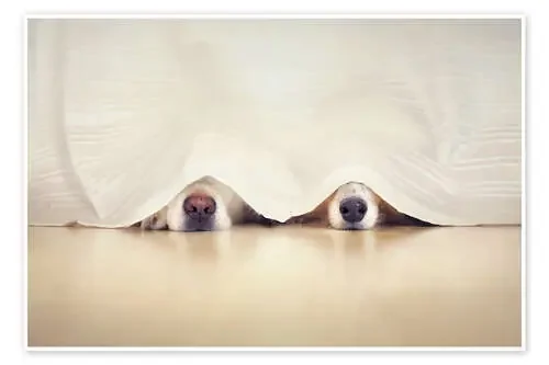 hide and seek de Gabi Stickler