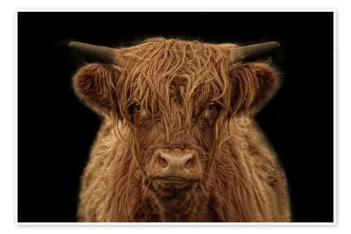Highlander de Joachim G. Pinkawa