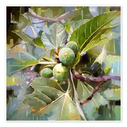 Higos sicilianos silvestres de Johnny Morant