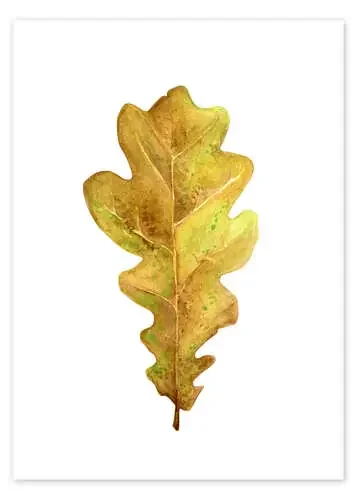 Hoja de árbol de RNDMS