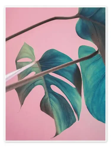 Hoja de monstera sobre rosa de Emanuela Carratoni