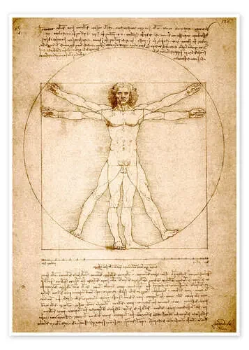 Hombre de Vitruvio de Leonardo da Vinci Stocktrek Images