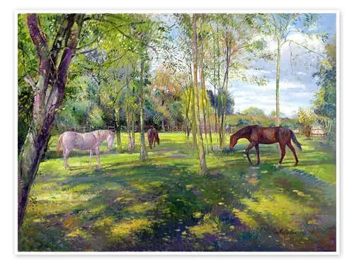 Horse paddock de Timothy Easton Bridgeman Images