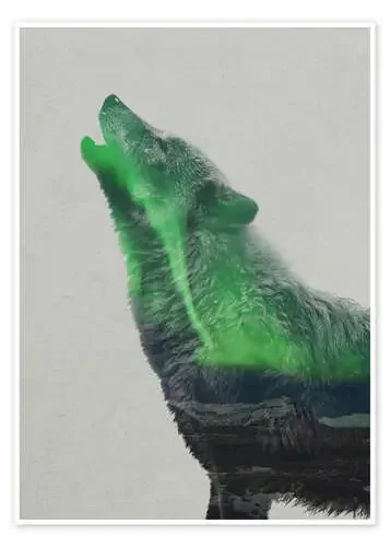 Howling in the Aurora Borealis de Andreas Lie