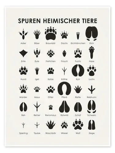 Huellas de animales nativos I (alemán) de Iris Luckhaus