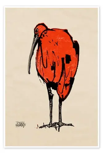 Ibis de Pieter Hogenbirk