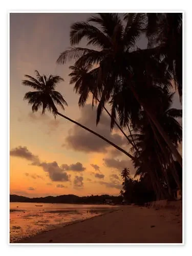 Idyllic island beach Editors Choice