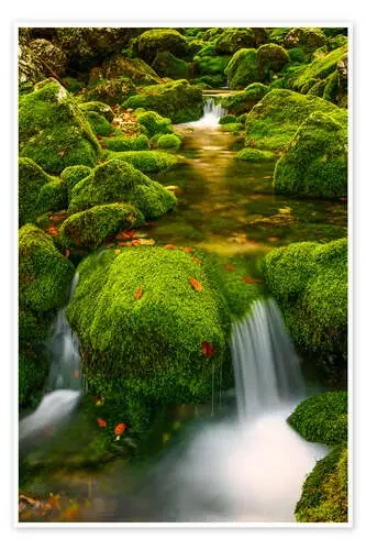 In the green valley de Denis Feiner