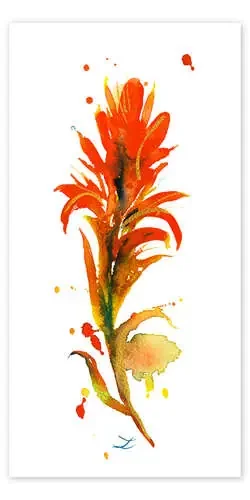 Indian Paintbrush Flower I de Zaira Dzhaubaeva