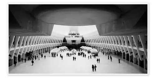 Inside the Oculus in New York II de Flo Klein