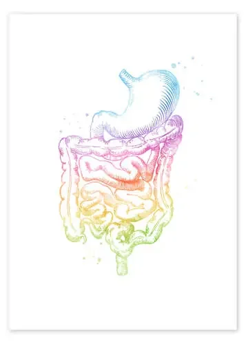Intestinos arcoiris de Mod Pop Deco