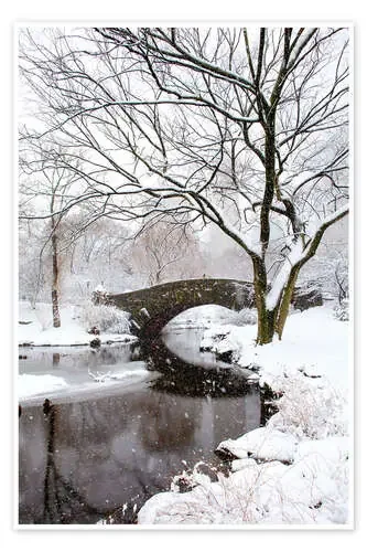 Invierno en Nueva York Editors Choice
