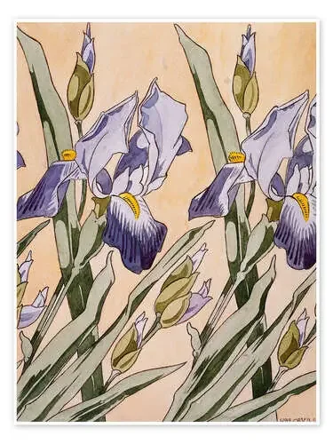 Iris de Koloman Moser Bridgeman Images