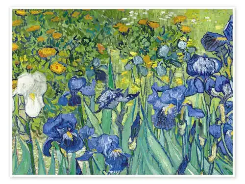 Iris de Vincent van Gogh Bridgeman Images