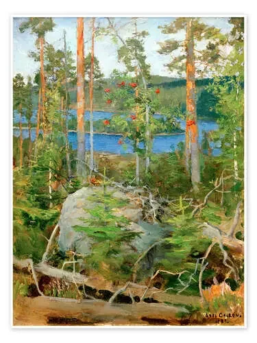 Jamajärvi Lago de Akseli Gallen-Kallela akg-images