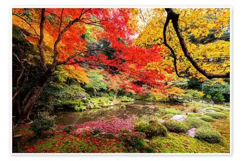 Jardín japonés Editors Choice