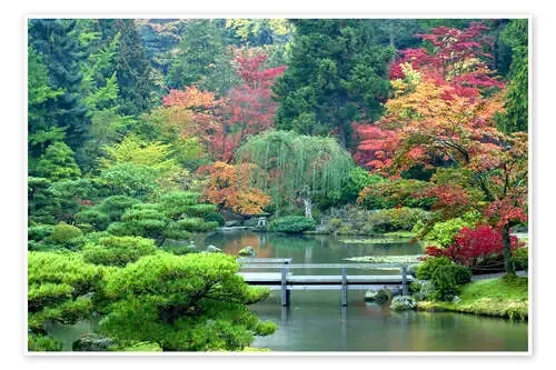Jardín japonés en Seattle de Janell Davidson Danita Delimont